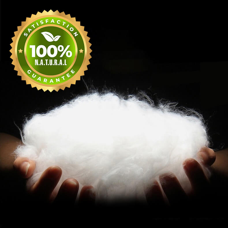 Top Rated Cervical Support Pillow For Back And Side Sleepers With Sore Neck Pain Problems